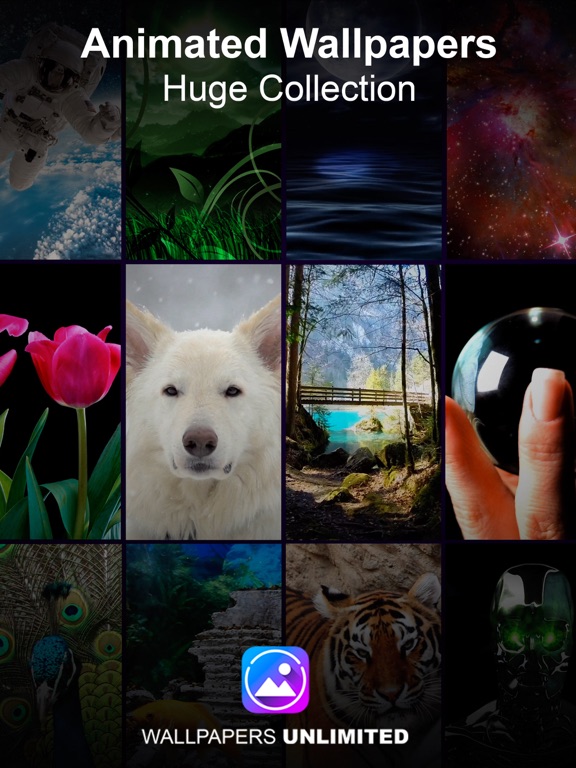 Live Wallpapers Unlimitedのおすすめ画像7