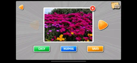 PPPuzzle!