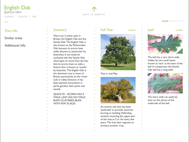Tree Guide UK - Standard screenshot-3