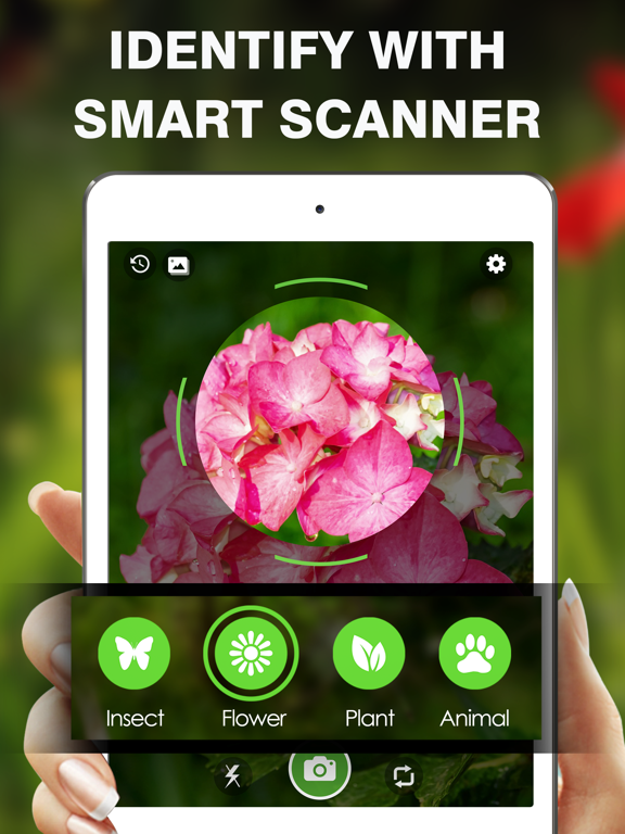 Screenshot #4 pour Smart Identifier: Plant+Insect