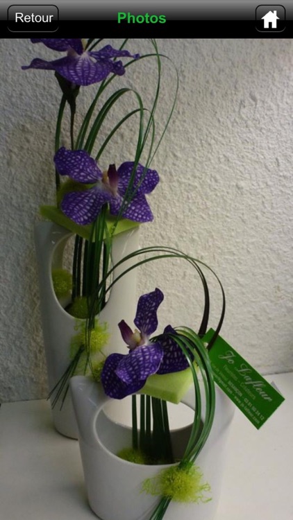 Jo Lafleur screenshot-3