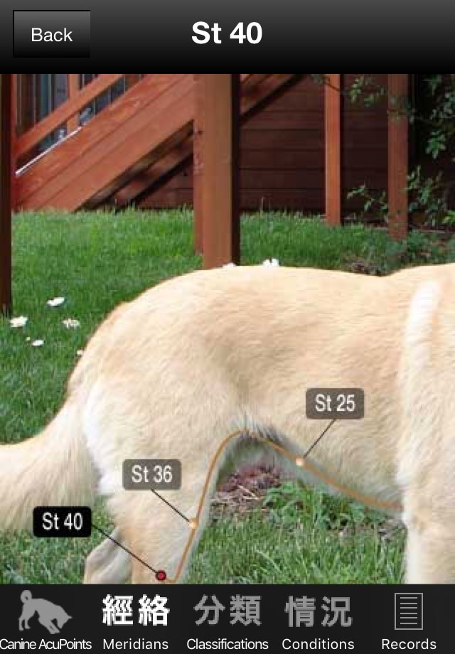 Canine Acupoints screenshot 4
