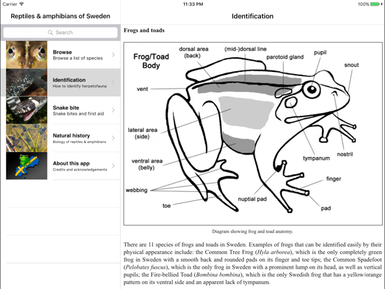 Screenshot #4 pour Reptiles and Amphibians of Sweden
