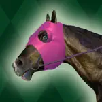 Jumpy Horse Racing App Support