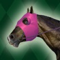 Jumpy Horse Racing app download