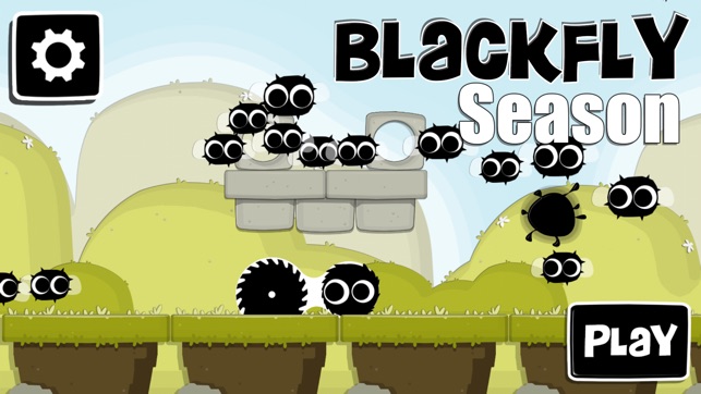 BlackFly Season