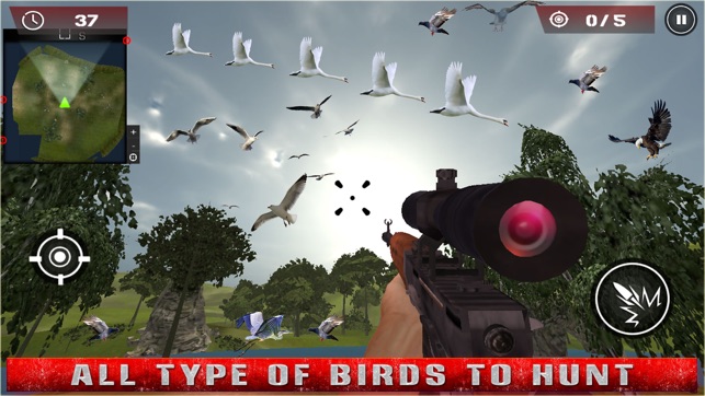 Birds Hunting - Clay Hunt Pro(圖4)-速報App