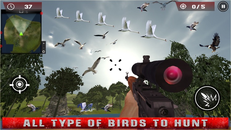 Birds Hunting - Clay Hunt Pro screenshot-3