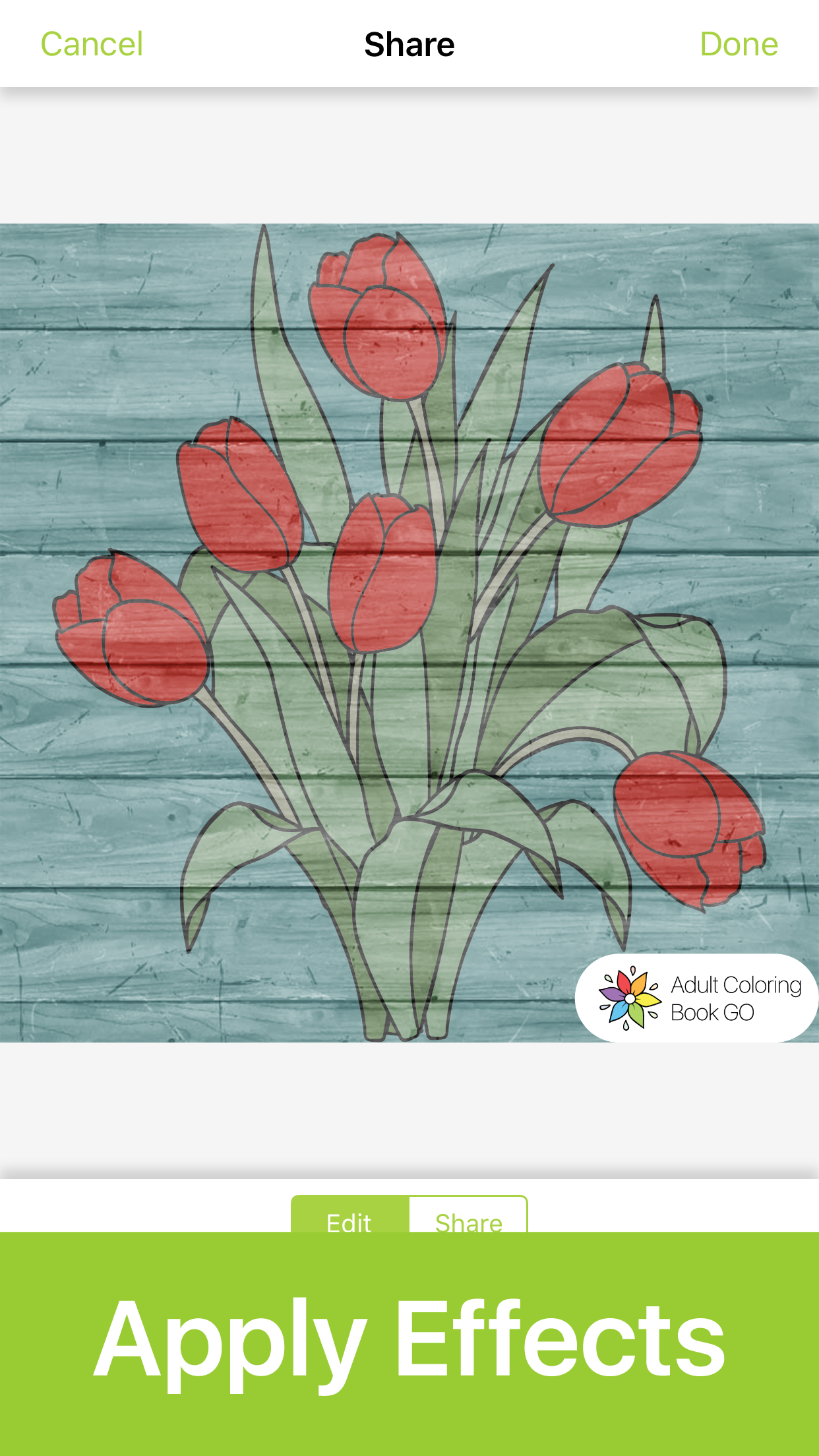 Adult Kid Number Coloring Book