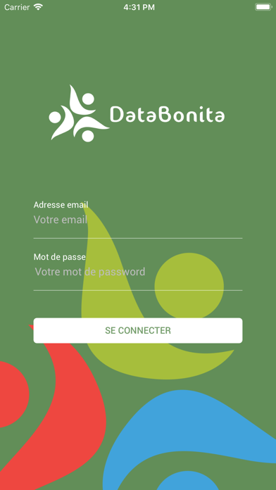 DataBonita screenshot 2