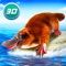 Platypus Simulator 3D