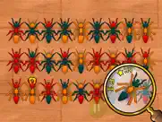 ant hunt ipad bildschirmfoto 4