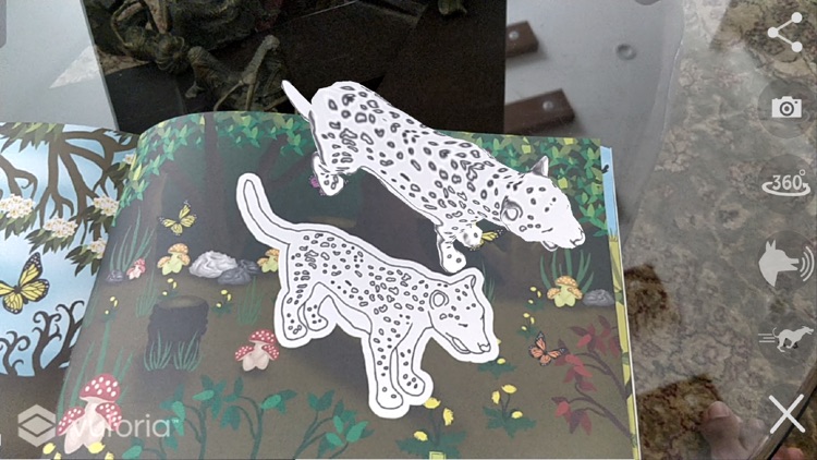 MAYAR Coloring in 3D