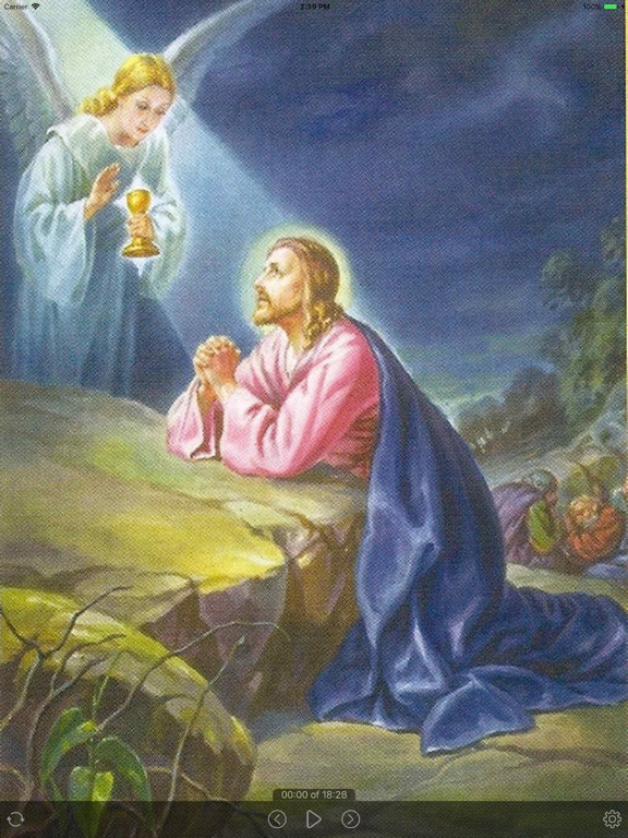 Holy Rosary - Standard Edition iPad screenshot 1 - Lifestyle app