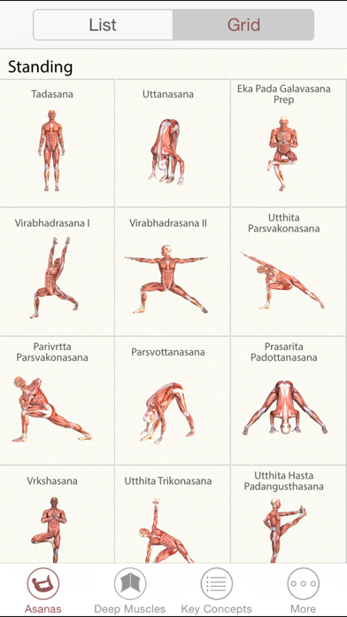 3D Yoga Anatomy Lite Screenshot