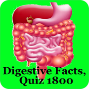 Digestive Facts & Quiz 1800
