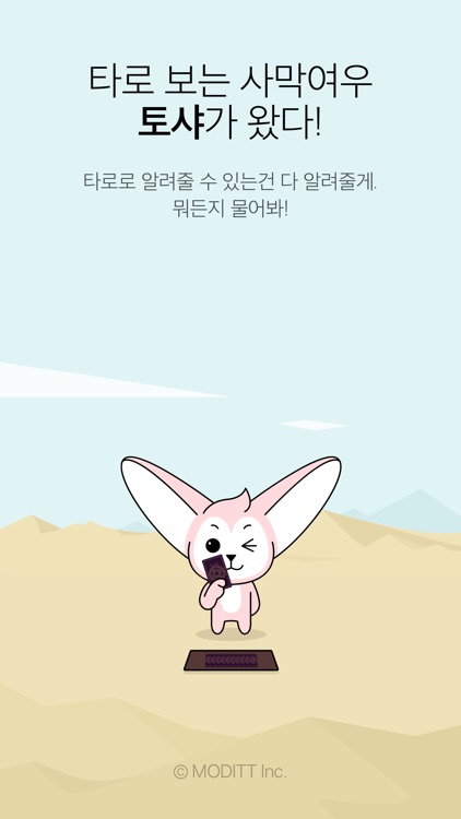 토샤 – 타로 보는 사막여우