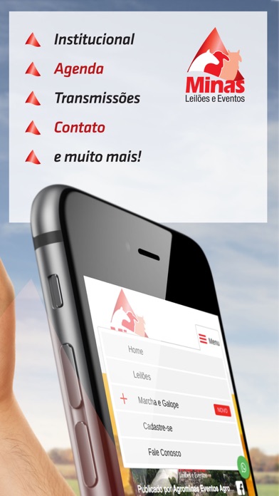 Minas Leilões & Eventos screenshot 3