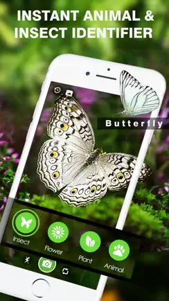 Smart Identifier: Plant+Insect iPhone image 3