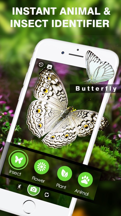 Smart Identifier: Plant+Insect