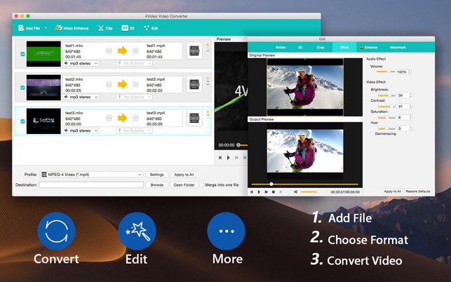 ‎4Video Video Converter Screenshot