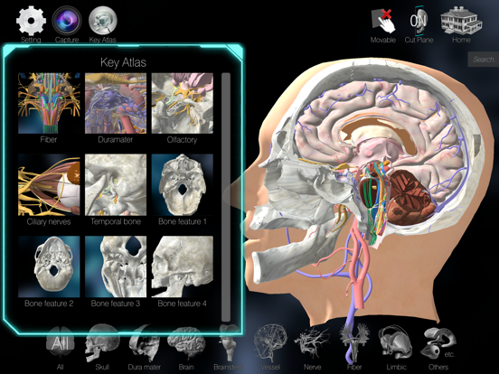 3D解剖学アトラス：iRisのおすすめ画像5