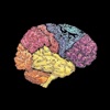 NeuroRes podcasts ucsd 