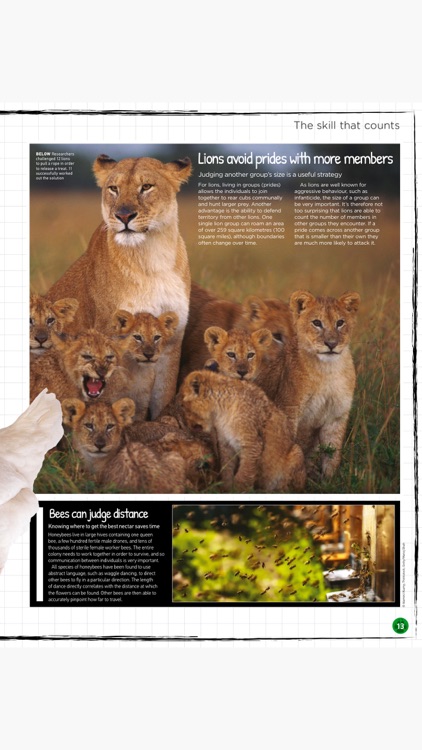 World of Animals Magazine: Wildlife and nature