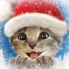 Little Kitten App