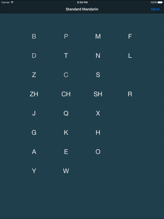 Standard Mandarin iPad screenshot 4 - Education app
