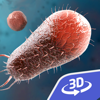 Bacteria 3D - MOZAIK Education Ltd.