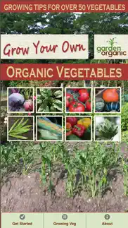 growing organic vegetables problems & solutions and troubleshooting guide - 1