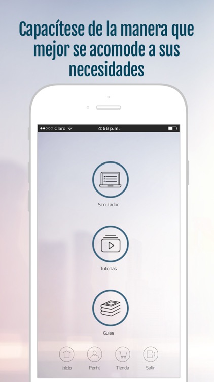 Maestro Bursátil Pro