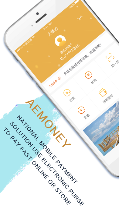 AeMoney app screenshot