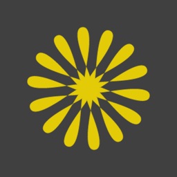 Lemonsoape Ministries