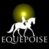 Equepoise UpperArm