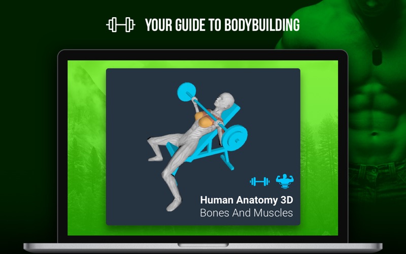 Human Anatomy 3D - Bones And Muscles thumbnail 1