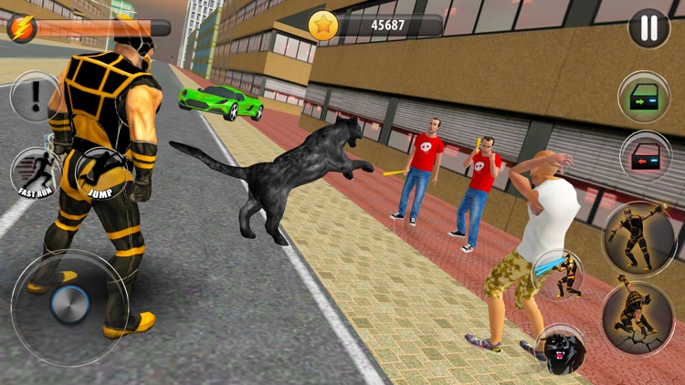 Panther Superhero City Warrior