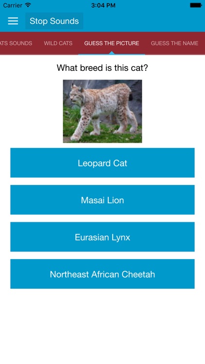 Wild Cats Sounds and Info