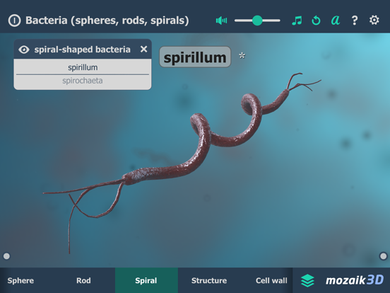 Bacteria 3D iPad screenshot 4 - Education app
