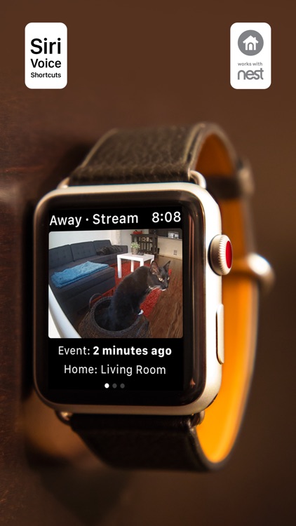 Watch Cam for Nest Cam screenshot-0