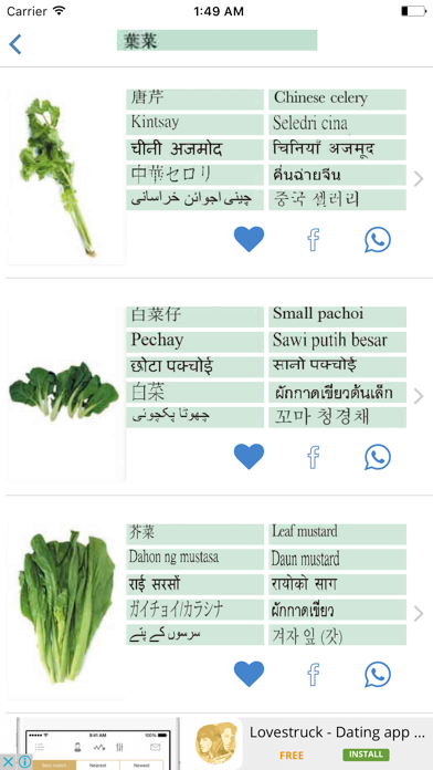 街市翻譯 screenshot