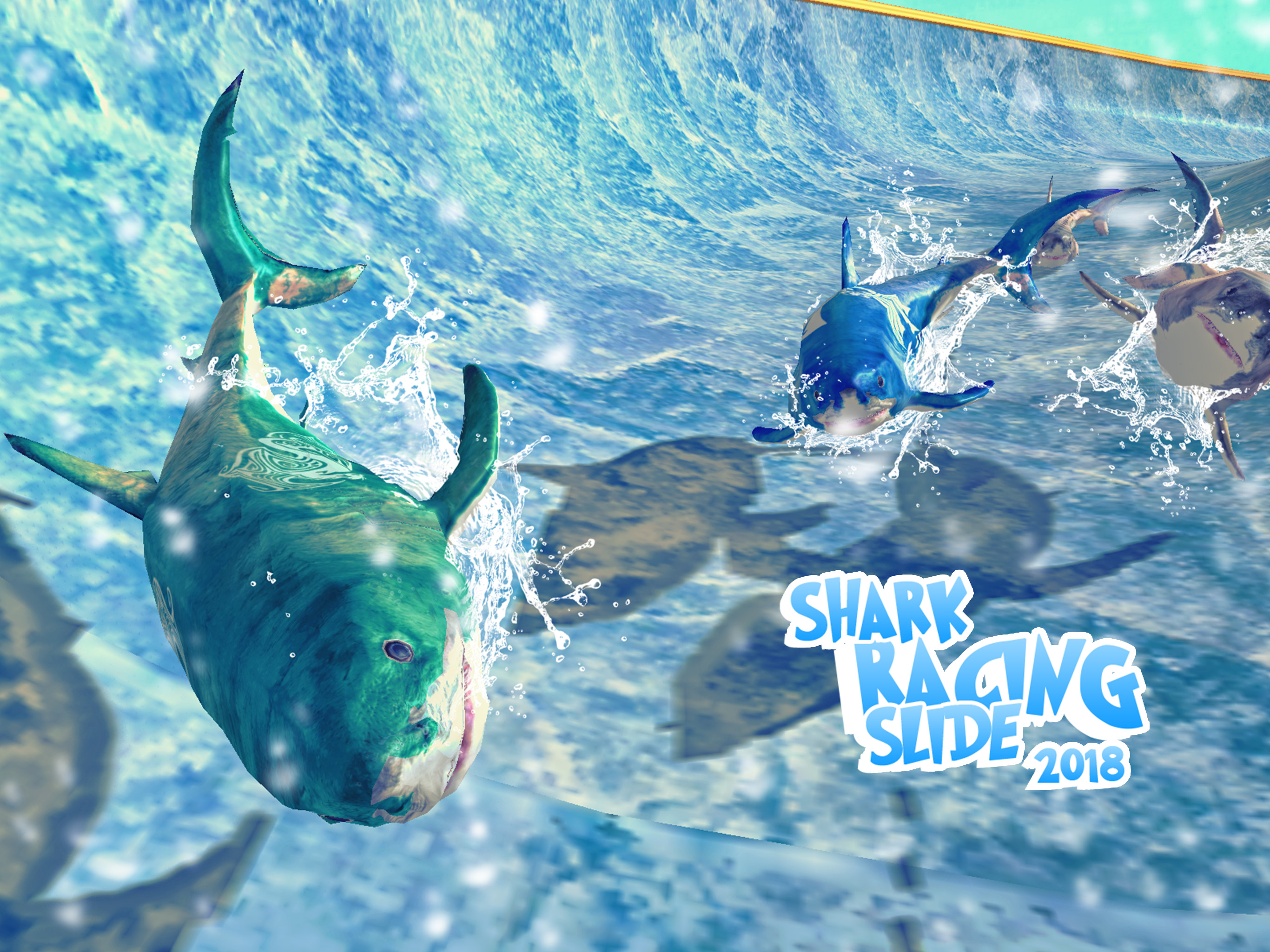 Shark Slide Racing 2018