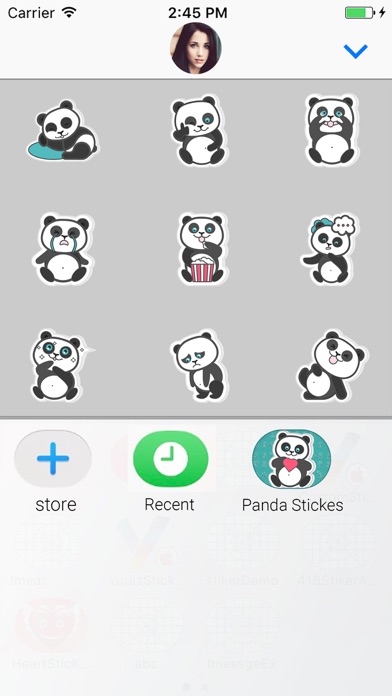 Panda Bear : Animated Stickers screenshot 4