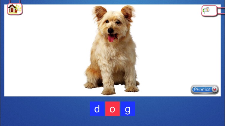 Names & Spellings with Phonics