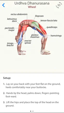 Game screenshot 3D Yoga Anatomy mod apk