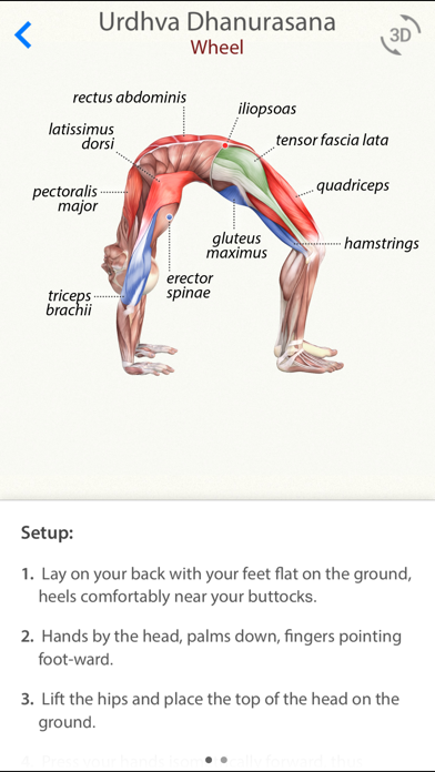 3D Yoga Anatomy Screenshot