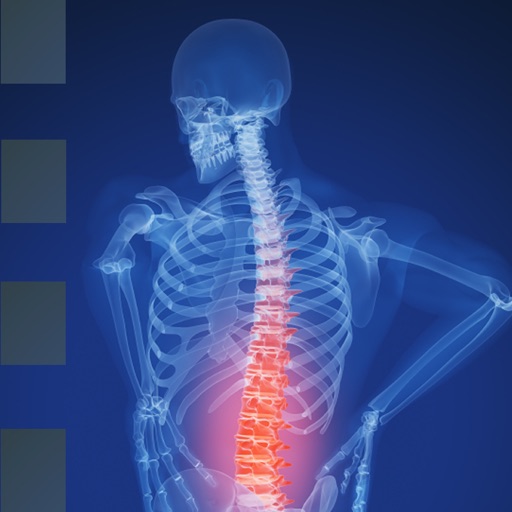 Back Pain Nerve Chart icon