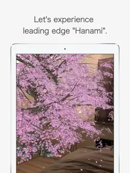 AR Hanami screenshot 5