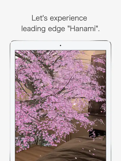AR Hanami